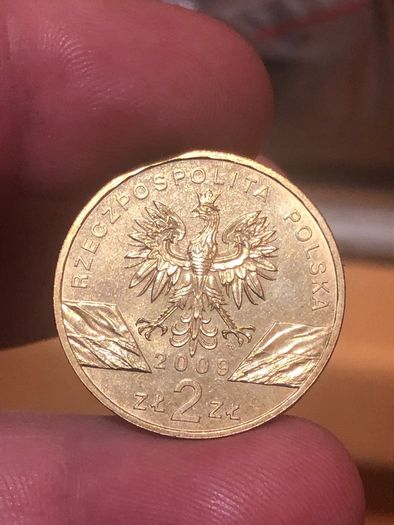 2 Zlote 2009 "Lacerta Viridis" Commemorative coin
