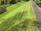 Grass Cutting & Garden Maintenance Image 6