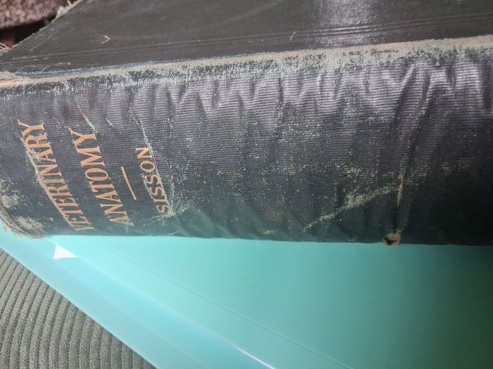 A Text Book Of. Veterinary Anatomy