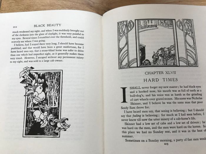 New Black Beauty Book