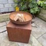Fire pit Image 4