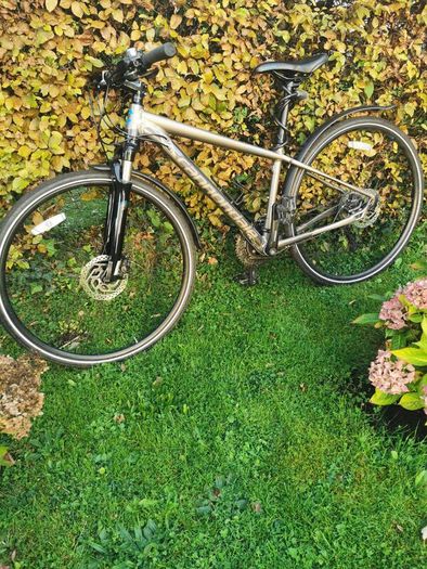 Shed clearance of 4 bikes-REDUCED