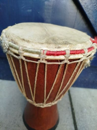 Bongo Drum