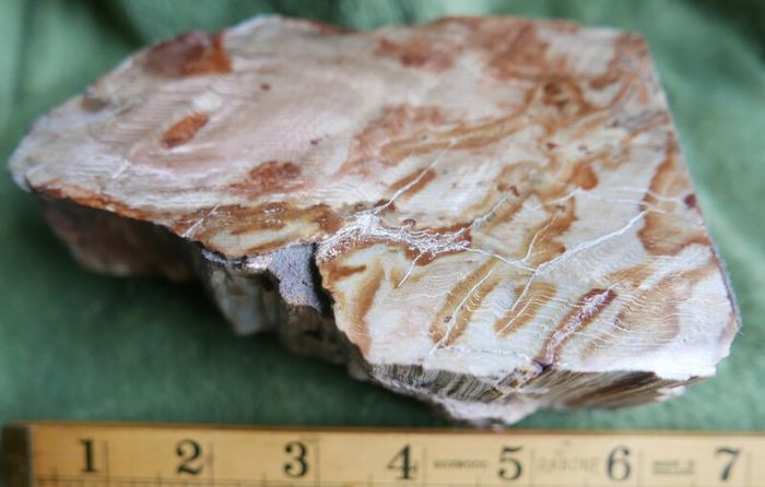 Dolomite Slab Rolling Hills Dolomite