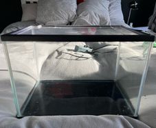 fish tank