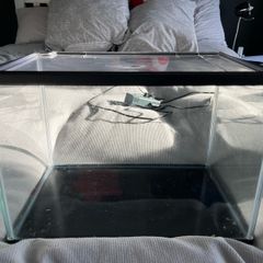 fish tank