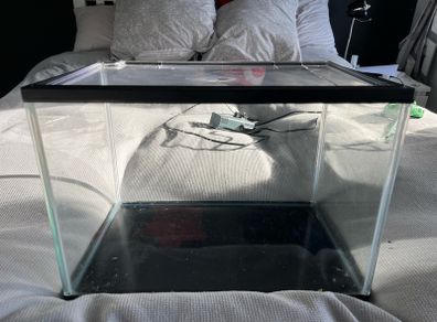 fish tank