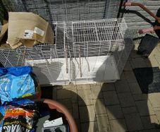 bird cage