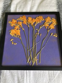 art craft-dry flowers