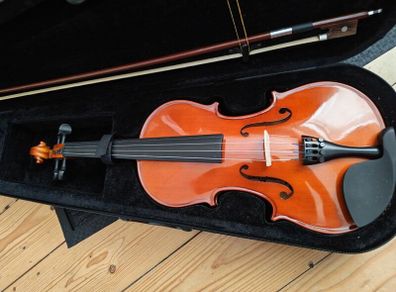 violin