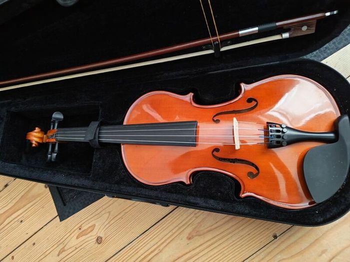 Violin