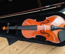 Violin