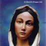 Marian Apparitions Today - Why So Many ? Fr. Edward D. O'connor, Csc Image 3