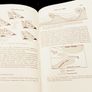 1961. Meteorology For Glider Pilots. C.E. Wallington. Image 5
