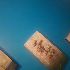 3 pictures for 9 euro