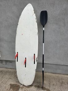 Wave Surfer/Paddle Board