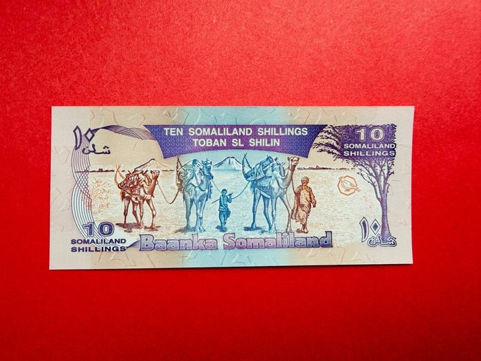 Somaliland  10 Shillings. 1994. Pick  2a. Unc