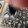 Inesis Stand Golf Bag + Clubs Image 4