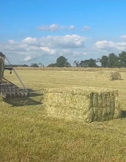 Square Haylage