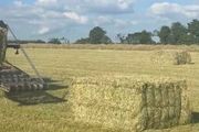 Square Haylage