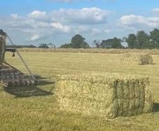 Square Haylage