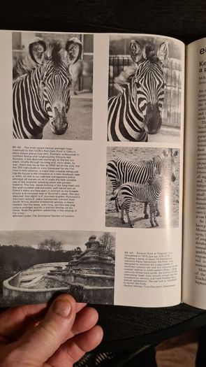 International Zoo Yearbook Volume 18. Edited By P. J. S. Olney. Published By The Zoological Society Of London. First Edition. Hardback With Dustjacket In Very Good Condition.