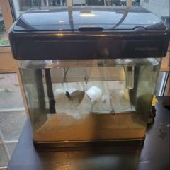 Fish tank 20L