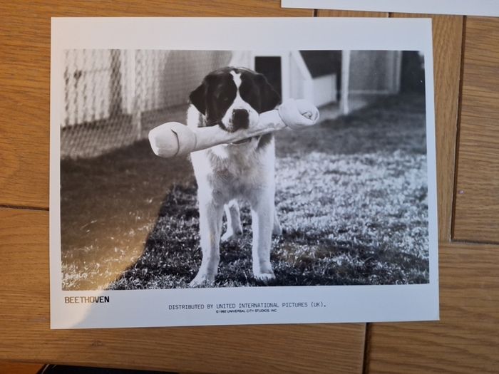 Beethoven Movie Press Kit