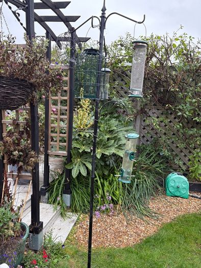 Bird Feeders x5 , Stand and various feed.