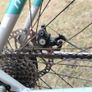 women's bike Image 5