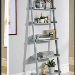 Ladder Shelf