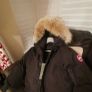 Canada goose bomber Image 3