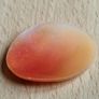 oval shell CAMEO Image 3