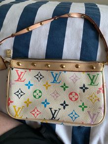 womans Louis vitton bag