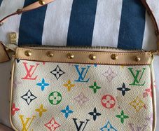 womans Louis vitton bag