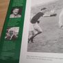 All Ireland Glory Image 4