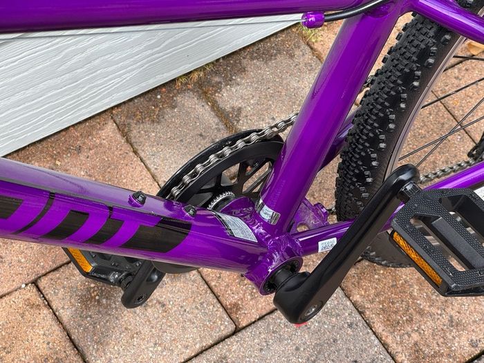 Giant ARX 24" Junior Bike - Purple