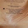 Grace And Beauty A Study Of The Horse Gabrielle Boiselle Large Hardback Book VGC Image 4