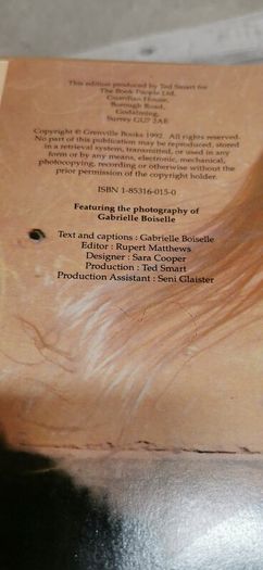 Grace And Beauty A Study Of The Horse Gabrielle Boiselle Large Hardback Book VGC