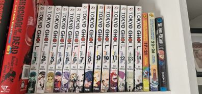 manga books