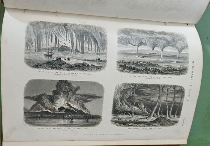 Goldsmiths  Animated Nature Vol 2 History of Animals