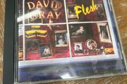 David Gray - Flesh