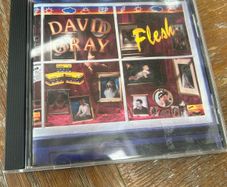 David Gray - Flesh