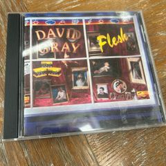 David Gray - Flesh