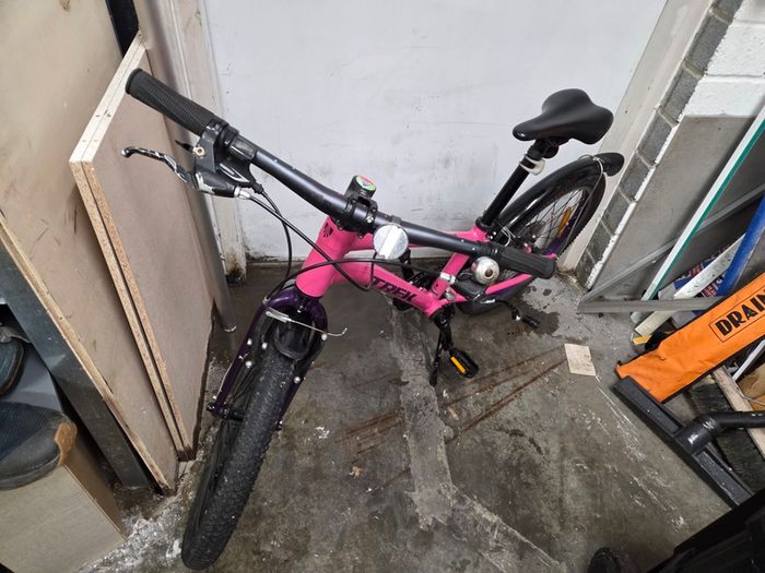 Kids trek mountain bike