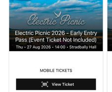 Electric Picnic 2026 Early Entry Passes x2