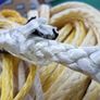 Double Braided Marine Polyester Rope Black or Red Excellent strength and flexibility Image 5