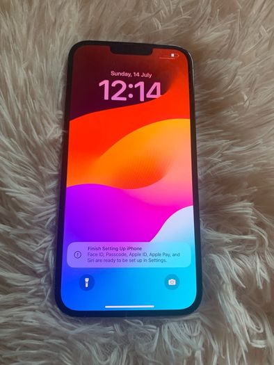 iPhone 13 pro max