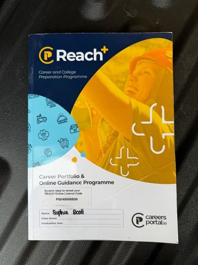 Leaving cert books - Job lot