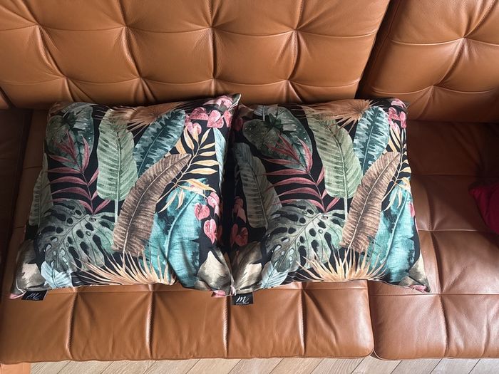 Cushions x 2